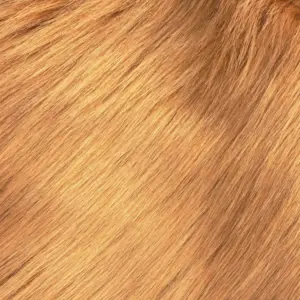 Shaggy Fur FURPARTS PREMIUM Butterscotch